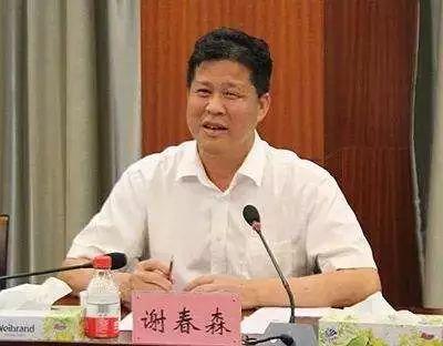 河源市副市长谢春森传递正能量，最新动态温暖人心