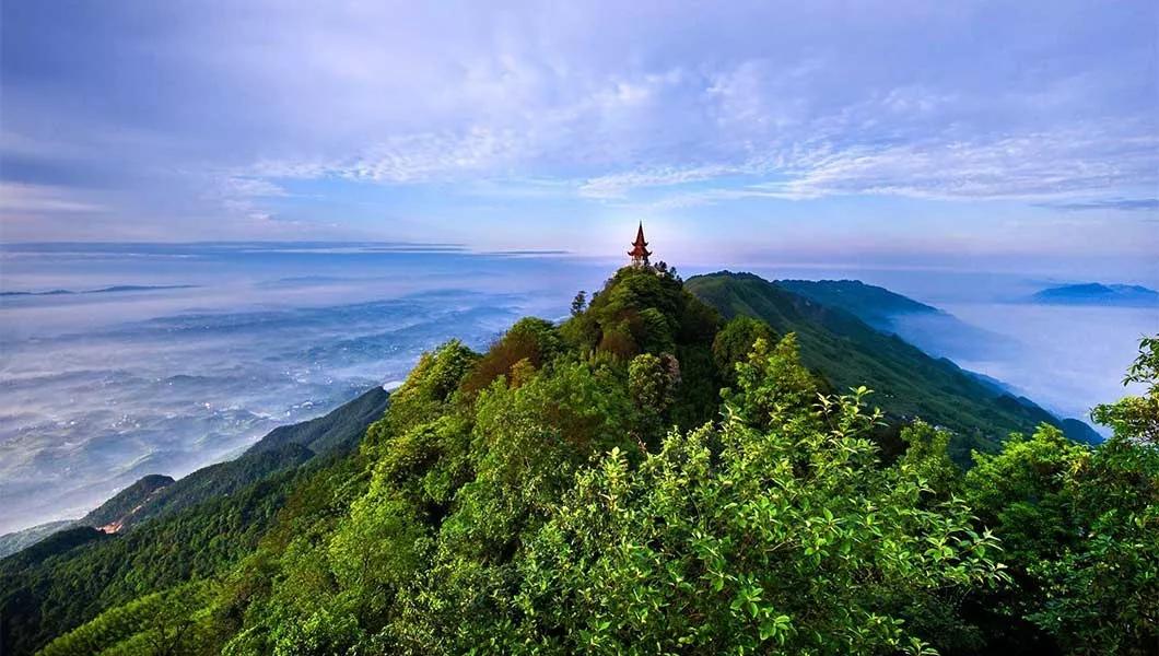 茶山招聘盛宴，精彩职位等你来发现！