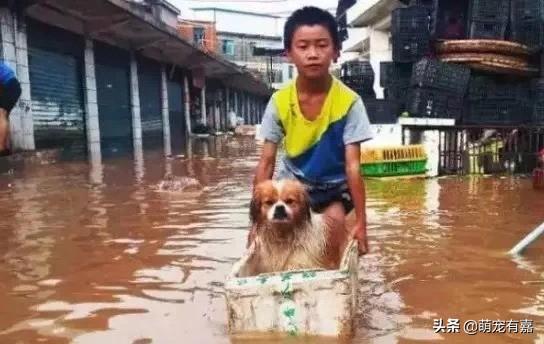 南海区台风实时播报，风雨同舟，共筑平安防线