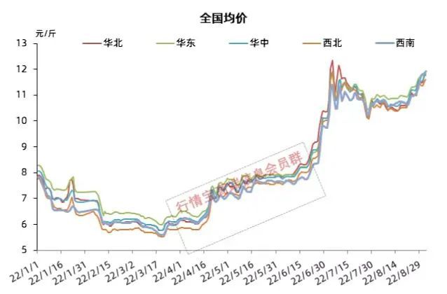 全国猪肉行情看涨，今日最新好价揭晓！