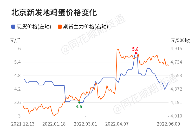 河北鸡蛋市场价格动态