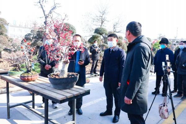 沭阳城区交通规划蓝图揭晓