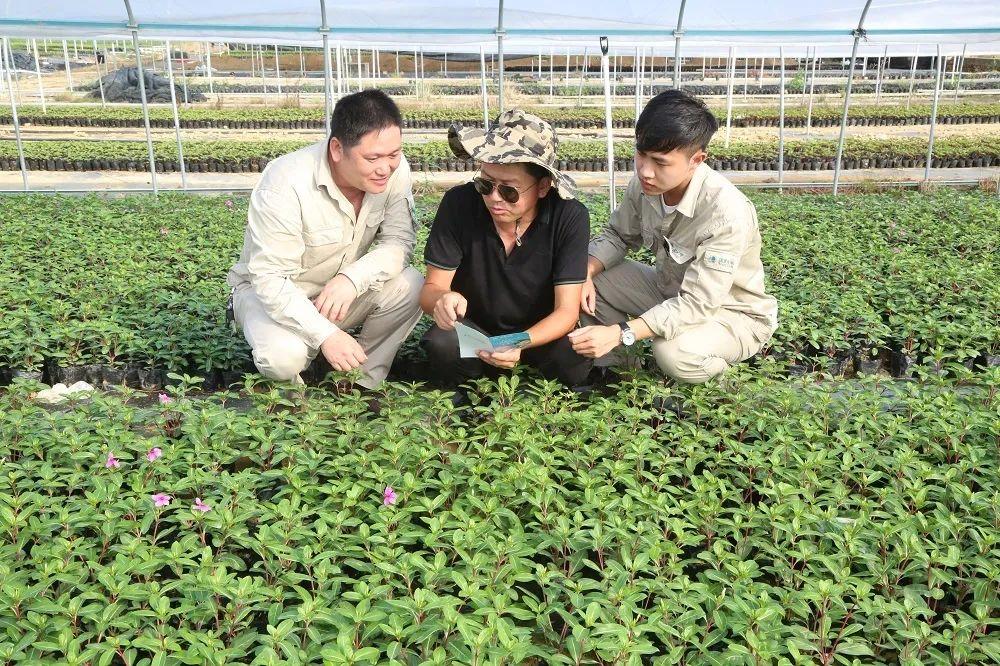 最新版电力行业安全操作规范