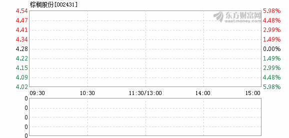 棕桐股份最新资讯发布