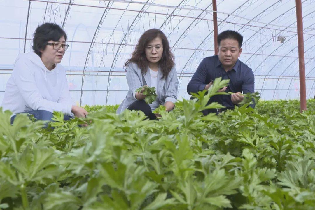 宁夏人才招聘信息汇总