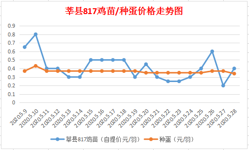 今日817鸡苗最新价格