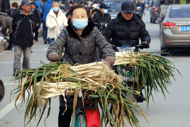 最新鲤鱼市场行情动态