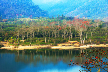 海南木棉湖最新动态揭晓：探秘热带风情湿地新篇章