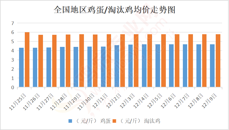 今日淘汰蛋鸡市场报价