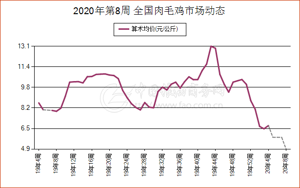 河南省最新肉毛鸡市场价格动态解析