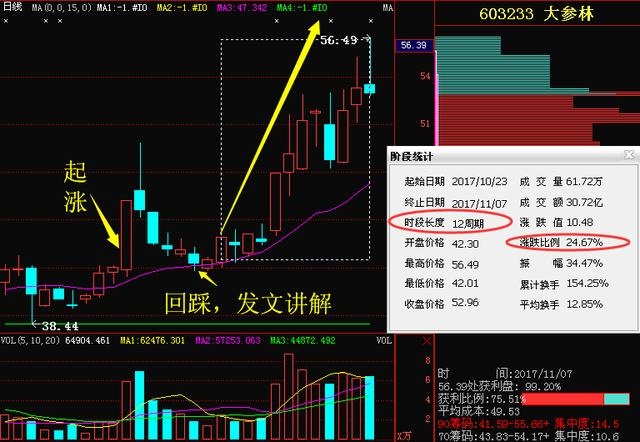 坧中股份最新动态解析：热点资讯一网打尽