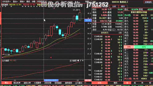 最新股海传奇：揭秘精彩股票案例分析