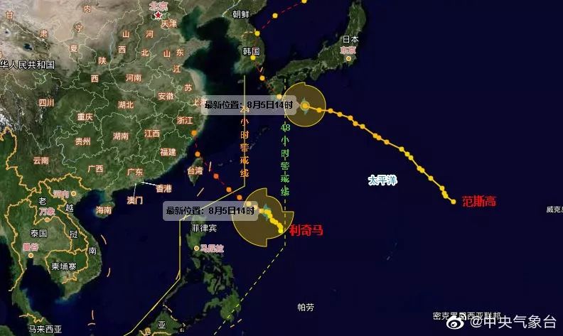 最新发布：台风“九号”最新动态与全面信息汇总