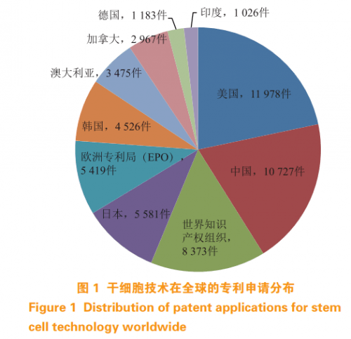 2025年度干细胞治疗领域突破性进展：前沿疗法全新揭晓